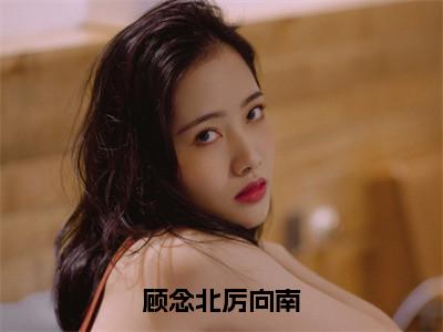 顾念北厉向南小说最新章节试读_顾念北厉向南是（顾念北厉向南）小说主角热门推荐_（顾念北厉向南）