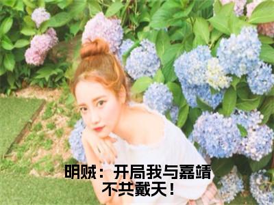 明贼：开局我与嘉靖不共戴天！全文免费在线阅读_（杨寒苍免费阅读无弹窗）明贼：开局我与嘉靖不共戴天！全文免费完结版阅读