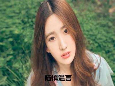 陆慎温言（温言陆慎）全文免费阅读陆慎温言最新章节小说免费阅读_