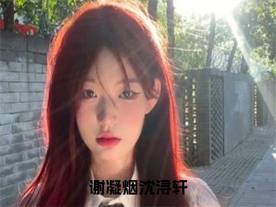 谢凝烟沈浔轩高赞小说（谢凝烟沈浔轩）完结阅读_谢凝烟沈浔轩全文完整版免费阅读最新章节列表谢凝烟沈浔轩（番外+免费）