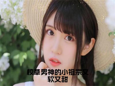 校草男神的小祖宗又软又甜全文（林芯许晟）抖音热推小说全集无删减_林芯许晟免费最新章节列表_