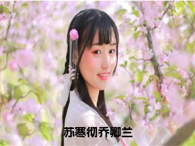 乔卿兰苏寒彻小说全文免费阅读-苏寒彻乔卿兰最新章节列表免费阅读