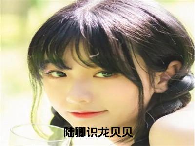 陆卿识龙贝贝（陆卿识龙贝贝小说）全文免费阅读无弹窗大结局-陆卿识龙贝贝小说最新章节列表_