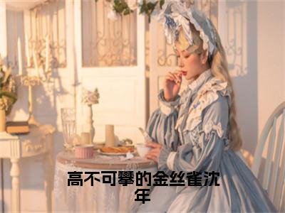 雀雀沈年高不可攀的金丝雀沈年免费阅读无弹窗小说雀雀沈年最新章节