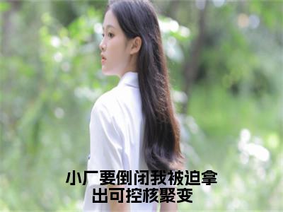 小厂要倒闭我被迫拿出可控核聚变免费小说（张奇）全本免费阅读-小厂要倒闭我被迫拿出可控核聚变最新章节列表