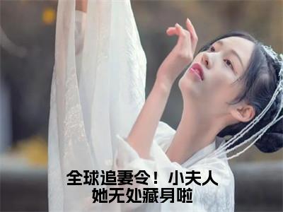 全球追妻令！小夫人她无处藏身啦（厉阈野云栀意）小说全文免费阅读无弹窗-全球追妻令！小夫人她无处藏身啦小说全文免费阅读大结局