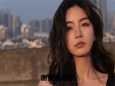 苏尔谢景渊全文阅读-谢景渊苏尔小说免费阅读