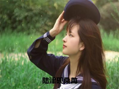 桑苒陆津砚全本资源（陆津砚桑苒）全文免费阅读无弹窗大结局_陆津砚桑苒最新章节列表（桑苒陆津砚）