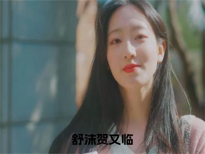 舒沫贺又临全集完整版大结局-贺又临舒沫小说在线赏析