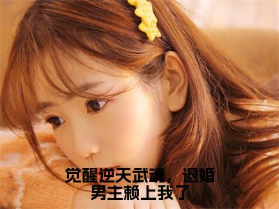 云裳（觉醒逆天武魂，退婚男主赖上我了）全文免费阅读无弹窗大结局_云裳最新章节列表_