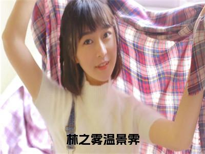 温景霁林之雾（林之雾温景霁）小说全文无删减版完整版_温景霁林之雾最新章节列表_