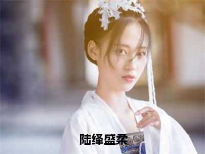 陆绎盛柔（盛柔陆绎）是什么小说-（盛柔陆绎）无弹窗免费阅读大结局最新章节列表_