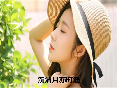 沈清月苏时遇（苏时遇沈清月）全文免费阅读无弹窗大结局_沈清月苏时遇全文免费阅读