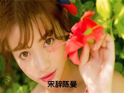 宋辞陈曼（陈曼宋辞）小说免费阅读无弹窗大结局_（陈曼宋辞阅读无弹窗）最新章节列表