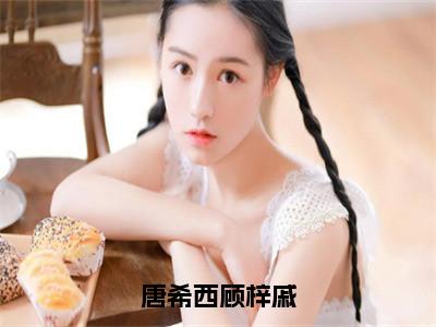 唐希西顾梓戚（唐希西顾梓戚）全文免费阅读无弹窗大结局_唐希西顾梓戚最新章节列表_