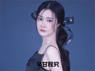 小说（辛甘程究）程究辛甘精选片段阅读-小说程究辛甘免费版最新更新阅读