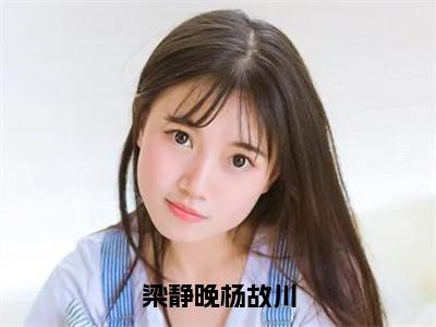 小说《梁静晚杨故川》全文免费阅读无弹窗-梁静晚杨故川（梁静晚杨故川）小说全文在线赏析_