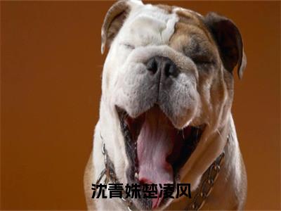 沈青姝楚凌风抖音完结版阅读《沈青姝楚凌风》最新章节目录好书推荐_（沈青姝楚凌风）