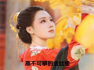 高不可攀的金丝雀小说全文免费阅读邵贺贺免费完整版阅读