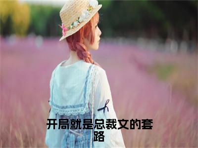 南洙决陆岑岑抖音新书热荐-开局就是总裁文的套路全文在线赏析（南洙决陆岑岑）