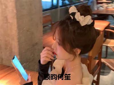 顾昀何笙（顾昀何笙）小说免费下载全本-顾昀何笙（顾昀何笙完整版）免费阅读无弹窗