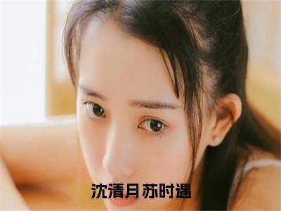 沈清月苏时遇（苏时遇沈清月）全文免费阅读无弹窗完整版，（沈清月苏时遇）免费阅读全文最新章节列表_