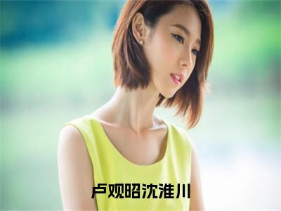 卢观昭沈淮川（卢观昭沈淮川）全文免费阅读无弹窗大结局_卢观昭沈淮川免费最新章节列表_