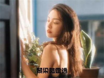 黎染陆霆逸（黎染陆霆逸）全文免费读无弹窗大结局_黎染陆霆逸免费小说黎染陆霆逸读无弹窗最新章节列表