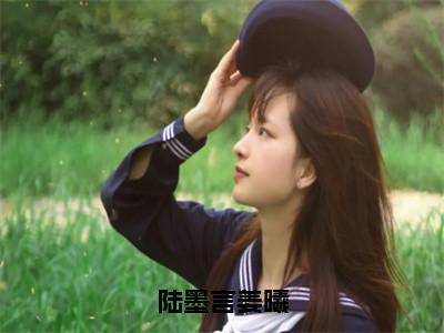 陆墨言姜曦（姜曦陆墨言）全文免费阅读无弹窗大结局_陆墨言姜曦小说免费最新章节列表_