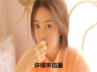 宋应星许诺（许诺宋应星）全文免费阅读_（许诺宋应星）宋应星许诺最新章节列表_