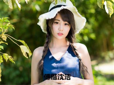 傅楷沈洁（沈洁傅楷）小说全文免费阅读无弹窗-傅楷沈洁小说全文免费阅读最新章节列表（沈洁傅楷）