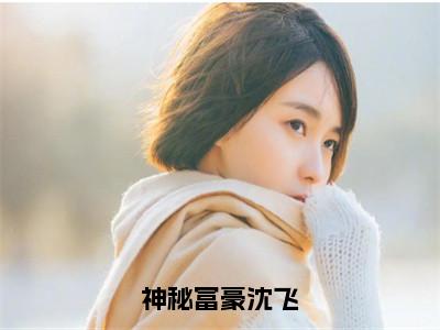 沈飞（神秘富豪沈飞）全文免费阅读无弹窗大结局_沈飞免费阅读最新章节列表_