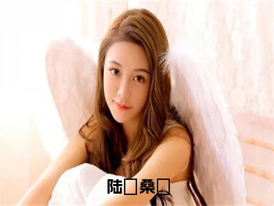 陆徎桑姷全文免费阅读（桑姷陆徎免费阅读无弹窗）陆徎桑姷最新章节列表_