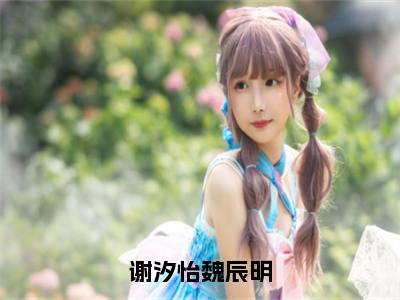 谢汐怡魏辰明小说主角是（谢汐怡魏辰明）全文完整版免费阅读最新章节列表_谢汐怡魏辰明小说在线阅读