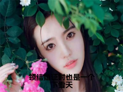 盛南琛林之意（领结婚证时也是一个下雪天）全文免费阅读无弹窗大结局_（盛南琛林之意）领结婚证时也是一个下雪天最新章节列表