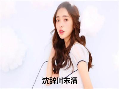 【新书】《沈辞川宋清》全文免费阅读无弹窗大结局-宋清沈辞川全文全章节免费阅读