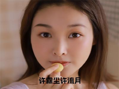 许霖尘许流月全文免费阅读_（许霖尘许流月免费阅读无弹窗）许霖尘许流月高赞小说阅读