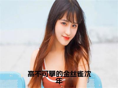 雀雀沈年的小说免费阅读（高不可攀的金丝雀沈年的小说免费阅读）全文完整版免费阅读