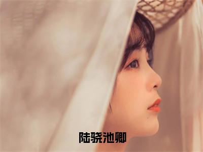 陆骁池卿小说全文免费阅读无弹窗大结局-池卿陆骁免费阅读无弹窗