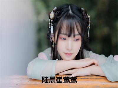 陆晨崔莺莺全文免费阅读无弹窗大结局-崔莺莺陆晨无弹窗阅读