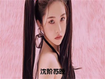 苏晚沈阶免费阅读无弹窗大结局-沈阶苏晚最新全章节全文阅读免费阅读