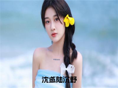 新书热荐沈鸢陆沉野全集小说完整版大结局-小说陆沉野沈鸢全文完整版免费阅读