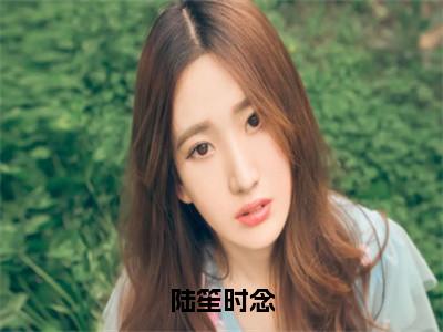 时念陆笙（陆笙时念）全文免费阅读无弹窗大结局_时念陆笙免费阅读最新章节列表_