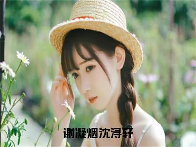 （谢凝烟沈浔轩）是什么小说-（谢凝烟沈浔轩）无弹窗免费阅读大结局最新章节列表_