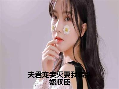 夫君宠妾灭妻我转头嫁权臣（沈琼芝孙鸿渐）小说全文免费阅读无弹窗大结局_夫君宠妾灭妻我转头嫁权臣最新章节列表