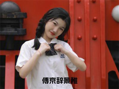 景稚傅京辞的小说（傅京辞景稚）免费阅读_景稚傅京辞小说免费阅读