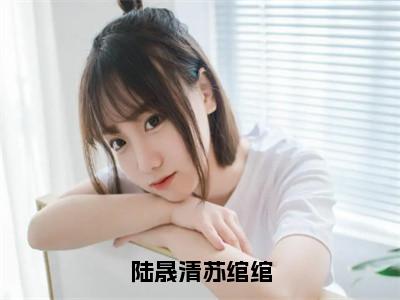 陆晟清苏绾绾小说（陆晟清苏绾绾）全章节完整版免费小说_陆晟清苏绾绾最新章节在线阅读_