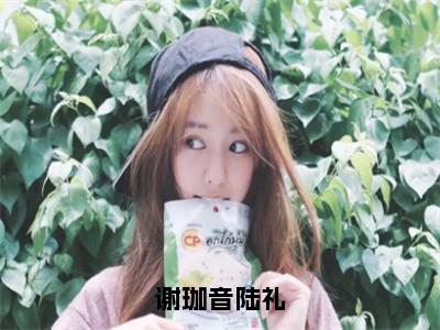 谢珈音陆礼全文免费阅读_（谢珈音陆礼免费阅读无弹窗）谢珈音陆礼高赞小说阅读