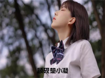 楚小凝顾砚（顾砚楚小凝）全文免费阅读无弹窗大结局_楚小凝顾砚说免费阅读最新章节列表