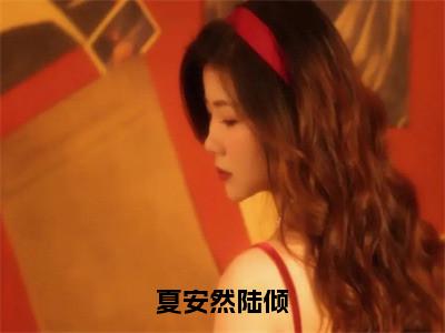 夏安然陆倾小说全文免费阅读正版陆倾夏安然免费阅读无弹窗